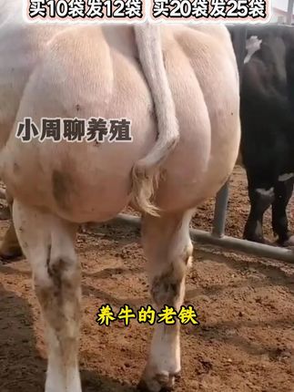 #牧饲康开胃王#选择牧饲康大品牌让你养殖更放心#养牛人不容易 #牧饲康开胃王#选择牧饲康大品牌让你养殖更放心#养牛人不容易