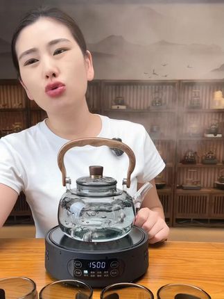 迷你电陶炉茶炉煮茶器家用小型多 #茶文化 #茶具 #召唤茶友 #养生茶 #人生如茶