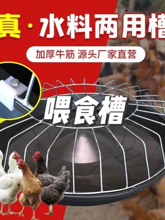 喂鸡食槽鸡鸭鹅仔猪教料槽小猪采食槽料槽猪保育料槽猪槽喂食食盆#鸡鸭鹅养殖 #鸡鸭喂食槽 #家禽自动喂食器 #养殖户专用 #养殖 @巨量千川 @DOU+上热门 @小店随心推