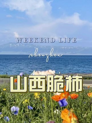 巧克力脆柿子大丰收了,9块9发5斤,脆甜多汁,抢到就是赚到#正宗巧克力脆柿 #脆柿子 #柿子熟了 #新鲜采摘 #脆甜多汁