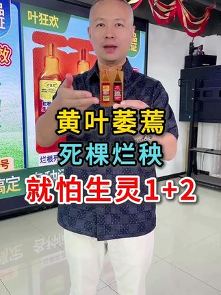 黄叶萎蔫,死棵烂秧,就怕生灵1+2#黄叶一喷绿 #死棵烂苗 #增收增产才是硬道理