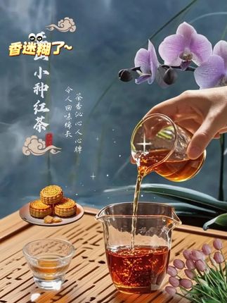 桐木关正山小种!最后 30 罐,卖完今年就断货 #正山小种 #召唤茶友 #红茶 #武夷山正山小种 #桐木关正山小种