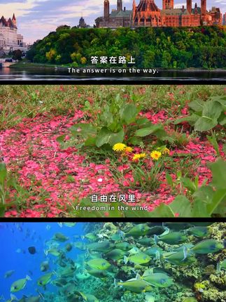 补妆包