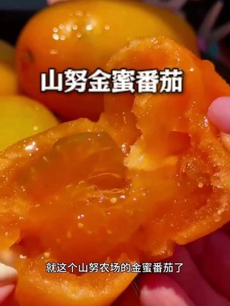 带有蜜薯香甜软糯的山努金蜜番茄,脆皮爆汁,云贵高原种植,老人小孩放心吃!#新鲜采摘#小番茄#西红柿#水果#优质水果