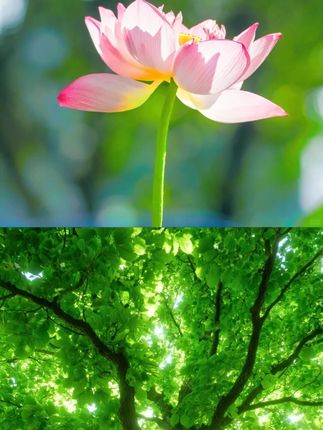 幼儿园衣物收纳袋