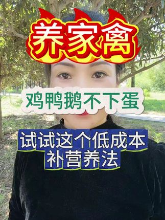鸡鸭鹅不下蛋,试试这个低成本补营养法 #养鸡 #三农 #养殖 #家禽管理 #分享