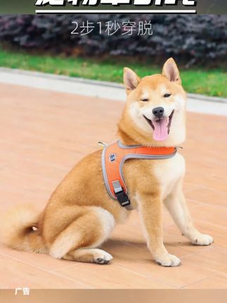 马鞍式胸背防挣脱牵引遛狗绳舒适犬胸背夏季狗绳牵引绳