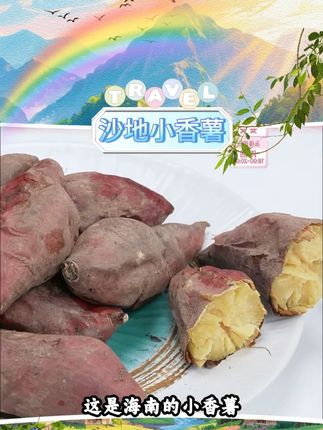 【小不溜】 沙地小香薯 小不溜沙地小香薯#薯 #香薯 #沙地小香薯 #小不溜小香薯 #好物推荐 @DOU+小助手 @DOU+上热门