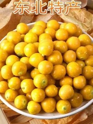 当季新鲜采摘东北头茬大菇娘果3斤/5斤#菇娘果 #新鲜采摘 #优质农产品 #源头好货 #水果