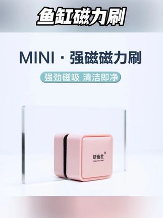 鱼缸磁力刷 这个磁力刷真绝了,手不沾水就把鱼缸擦的干干净净的,绿藻褐藻也能轻松擦掉#磁力刷 #擦缸神器 #鱼缸刷 #养鱼日记 #观赏鱼