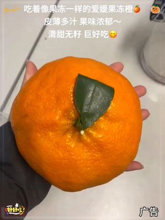 果肉像果冻一样细嫩的爱媛果冻橙🍊!皮薄如纸,清甜多汁还没有籽!直接吸着吃 😋果味浓郁,甜而不腻,让人一口沦陷!#爱媛果冻橙 #橙子 #口感特别好 #新鲜采摘 #在抖音入手的好东西