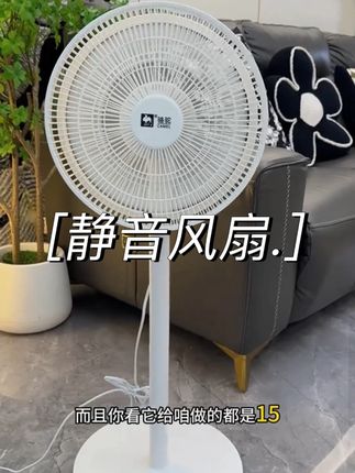 #电风扇 #空气循环扇 #厂家直发品质保证 #风扇家用落地立式 #夏季必备