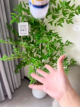 夏天床上睡觉身上总是痒痒的别犹豫赶紧试试消毒喷雾!床上衣柜卫生间哪里都可以喷喷!#好物推荐🔥 #居家好物 #家居清洁 #消毒喷雾 #卫生间消毒