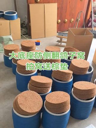 #赛鸽信鸽# 塑料圈鸽子窝 #经济实惠好用不贵# 强烈推荐
