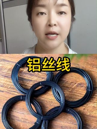 盆景造型专用铝丝三角梅金枝玉叶罗汉松铝线花卉植物蟠扎定型