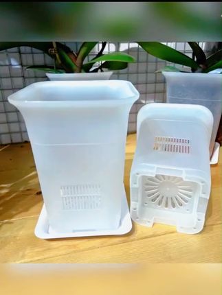 蝴蝶兰控根盆质量很好做工精细绿植花盆榜第十名 #蝴蝶兰花盆  #蝴蝶兰养护  #蝴蝶兰盆栽怎样养