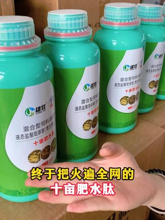 #水产 #水产养殖 #四大家鱼养殖 #高密度养殖