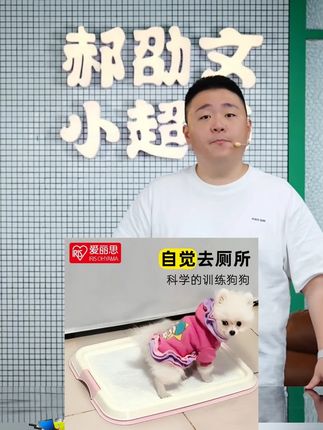郝劭文推荐 爱丽丝狗狗厕所便便器宠物便盆尿尿盆小型犬平板家用爱丽思狗厕所 #宠物尿盆 #狗狗尿盆 #宠物便盆 #宠物便尿盆 #郝劭文