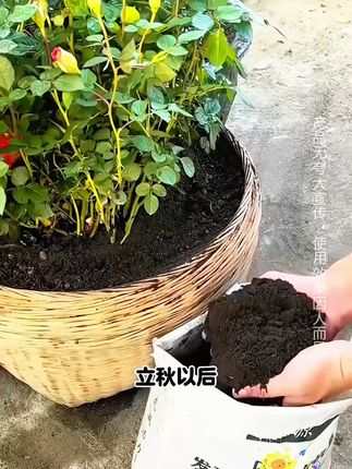 育景源纯羊粪有机肥种植花卉蔬菜施肥壮根保花提升土壤肥力