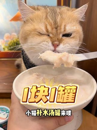 赶紧来薅这个1块1罐的猫咪补水汤罐!足足8种口味补水又解馋#呢咔 #猫罐头 #新手养猫 #汤罐
