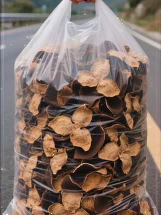 家人们!你们喝过用十五年的新会陈皮泡的茶吗?入口是淡淡的陈皮清香,清爽回甘,唇齿留香。这就是我们家的宝藏陈皮,不仅可以用它来泡茶,还能用来煮水煲汤,好处多多!每一片都是自然生晒而成,干干净净没有一点杂质,真正的高品质陈皮就在眼前,赶紧点击下方链接抢购吧!#新会老陈皮 #老陈皮 #陈皮茶 #优质农产品