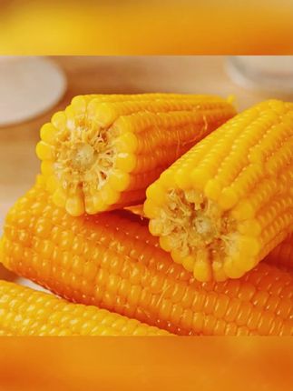 黄金糯玉米 【25年头茬大棒8-9斤】金铝黄金糯玉米12根单根280-350克(试吃4根) #粗粮 #软糯香甜 #强烈推荐 #糯玉米 #早餐吃什么  八分糯二分甜,口感刚刚好,吃完还想再来一根!