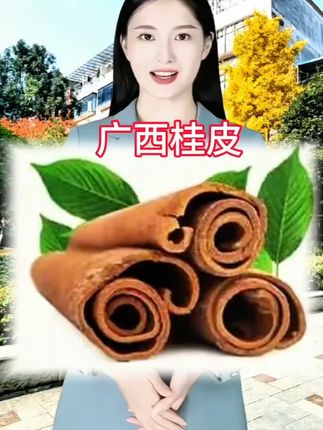 250克广西带皮桂皮厨房香料调料调味烧烤炖卤肉腌制大料火锅底料-1 广西老树桂皮9.9元得买半斤 #太香啦 #香料搭配 #爱生活爱美食 #快来一起尝个鲜 #厨房好物 @DOU+好生意