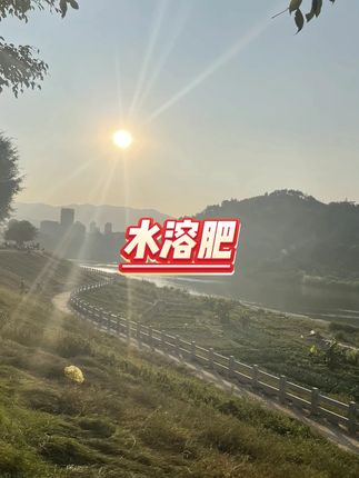 韭葱姜蒜干尖灵水溶肥 #园艺用品 #种植必备 #植物养护
