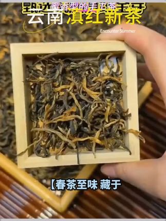 2025新茶特级云南滇红金丝金芽新茶正宗茶叶手工蜜香型袋装