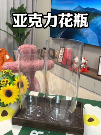 花瓶摆件客厅花瓶花瓶水培器皿雪柳花瓶摆件客厅插花插花瓶落地 #花瓶#亚克力花瓶#插花瓶#家装摆件高级感#便宜好物