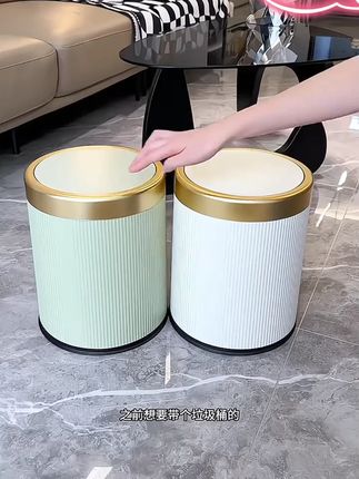 家用垃圾桶客厅卧室卫生间按压式带盖高端轻奢高档网红大号大容量#家用垃圾桶 #按压式垃圾桶 #大容量垃圾桶 #高端垃圾桶 #网红垃圾桶