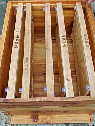 中蜂专用蜂路钉,标准蜂路0.8厘米 #蜂路钉 #巢框钉 #蜜蜂蜂路 #养蜂用具 #中蜂养殖