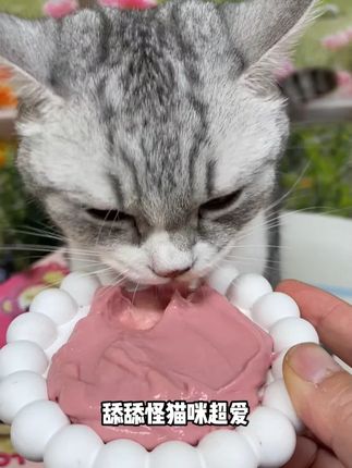 阿飞和巴弟与草莓熊刚出的猫咪礼包也太划算了!足足18件爆款,关键每个猫咪都嘎嘎爱吃~#养猫人 #猫零食 #养猫新手 #阿飞和巴弟 #草莓熊零食