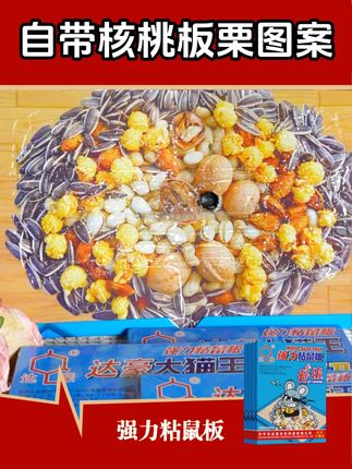 哪里有老鼠放哪里,只有它的地方,老鼠就得遭殃 #粘鼠板   #老鼠  #抓老鼠  #捕鼠神器