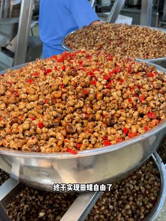 终于实现田螺自由了,就这个香辣嗦螺,到手这么多才这个价,赶紧囤呀!!#解馋 #好吃到爆 #零食推荐#追剧小零食