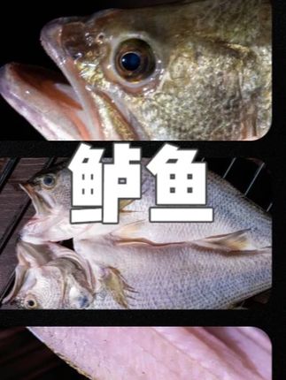 【升级款】彦制口味鲈鱼 升级款味道更鲜 量更大 250克/条 淡水鲈鱼 #鲈鱼 #淡水鲈鱼 #新鲜鲈鱼 #腌制鲈鱼 #鲈鱼推荐