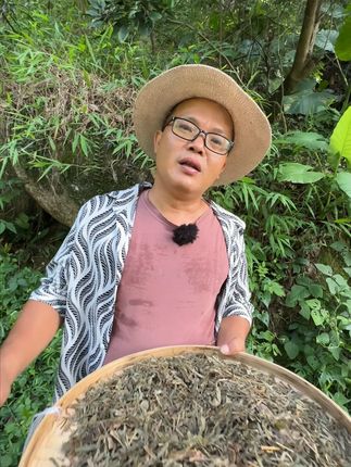 知道可以干嘛用的吗? #植物科普 #潮汕人 #潮汕话 #你见过这种植物吗 #三农