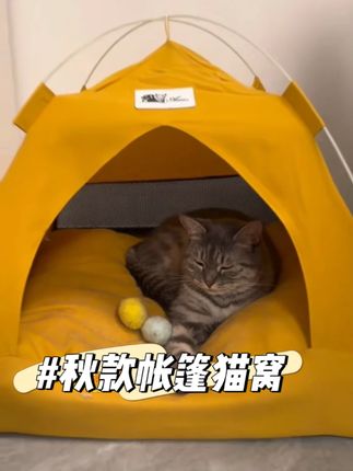 狗狗我呀也有属于自己的帐篷窝了!睡在里面太舒服了! #萌宠  #萌宠出道计划  #泰迪  #狗窝  #萌宠日常记录