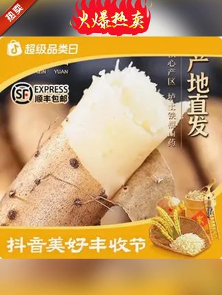 【丰收节特供】垆土铁棍山药河南焦作特产3-5斤怀山药面糯香甜 无限回购,香甜粉糯的铁棍山药! #山药  #铁棍山药  #粗粮  #营养健康