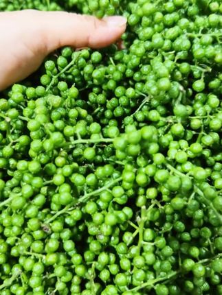 青麻子青花椒酱麻香青花椒凉拌菜拌面酱料麻辣烫椒香厨房优质调味#青花椒酱 #花椒酱 #纯天然无添加 #食品安全 #特色农产品