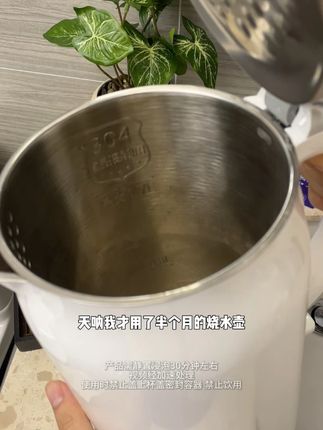 天呐热水壶才用半个月就这么脏,平时得要常清洁啊#水杯清洁 #onefull #清洁泡腾片