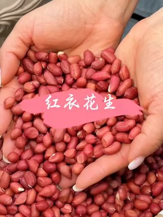 东北特产四粒红花生米批发红皮生花生农家自种炒炸食用去壳花生仁#东北花生米 #四粒红花生 #农家自种 #炒炸美食 #花生仁