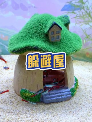 可以用来装饰鱼缸,又是小鱼安全的家,这才是我需要的躲避屋#躲避屋 #养鱼 @DOU+小助手
