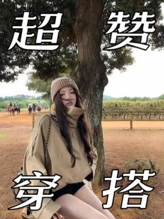 流光2025新季英伦风双排扣立领短款风衣复古百搭#风衣穿搭 #短款外套女 #时尚穿搭 #英伦风穿搭 #女装