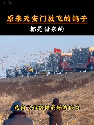 “歌唱我们亲爱的祖国,从此走向繁荣富强”升旗仪式后,当和平鸽和彩色气球飞出来的那一刻一切都值得!!! #升旗仪式 #天安门升旗 #鸽子 #天安门藏书票