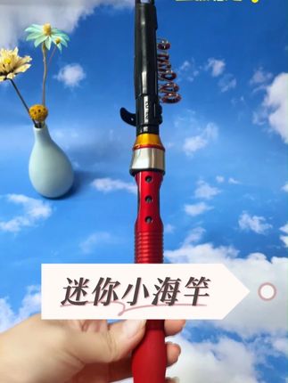 安利个超牛的迷你小海竿套装!收缩后才31厘米 #钓鱼人就是这么疯狂#迷你小海竿#小海竿#抖音钓鱼人#鱼竿