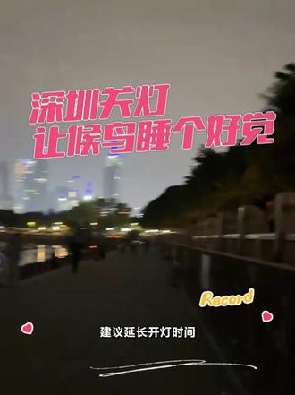 深圳为候鸟关灯,为市民开灯 关灯不影响候鸟休息#深圳湾公园黑灯 #深圳24小时图书馆 #深圳温度 #深圳候鸟