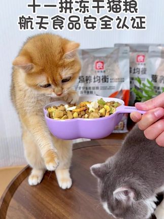 航天食品十一拼冻干猫粮!嘎嘣脆!真够味! #新手养猫 #萌宠好物 #萌宠#猫咪 #我和我的猫