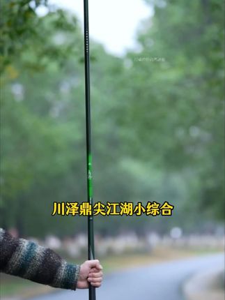 【野钓神器!轻到忘记收竿】🎣 🔥5.4米仅重98克|狂拉20斤不头沉 💎高碳超硬腰力|鲫鲤通杀全能王#小综合竿 #鲫鱼竿 #鱼竿 #野钓 #川泽官方旗舰店