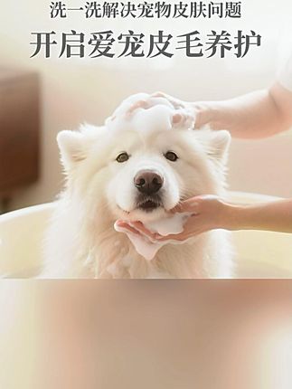 雪貂留香500ml沐浴露,经典香祛味,狗狗通用! #500ml沐浴露 #狗狗沐浴露 #雪貂沐浴露 #雪貂留香沐浴露 #经典香沐浴露